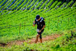 BIB: 
                            <button type="button" onclick="openModal(19163268)" class="btn btn-primary btn-sm float-right btn-popup" data-toggle="modal" data-target=".modal-high-quality">
                        <i class="fas fa-shopping-cart"></i> Add to Cart
                    </button>
                                            <button type="button" onclick="isThisMe(19163268, true)" class="btn btn-success btn-sm float-right btn-popup btn-isme hidden" data-toggle="tooltip" data-placement="bottom" title="นี่คือรูปของคุณใช่ไหม คลิกที่นี่เพื่อเอาเข้าอัลบั้ม">
                        <i class="fas fa-plus"></i> Add to album
                    </button>
                    <button type="button" onclick="isThisMe(19163268, false)" class="btn btn-warning btn-sm float-right btn-popup btn-isnotme hidden">
                        <i class="fas fa-ban"></i> Remove from album
                    </button>